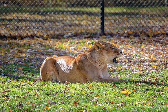 IMG_7864-Edit